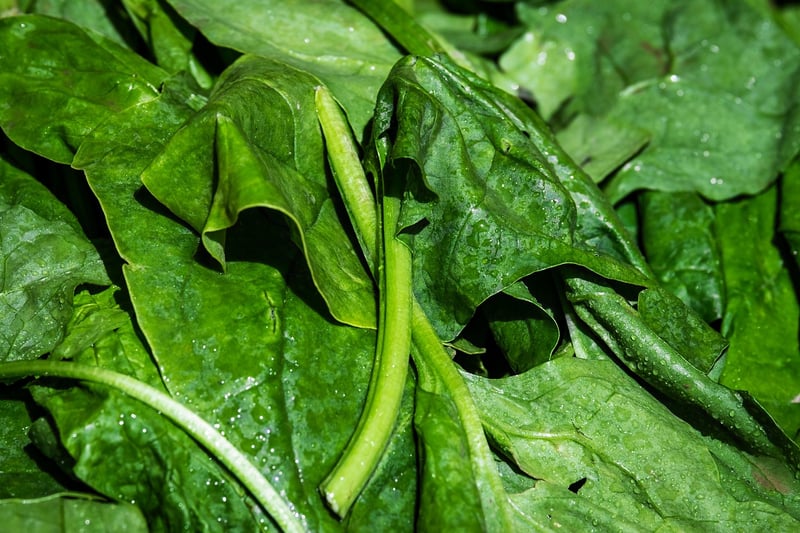 Baby Spinach